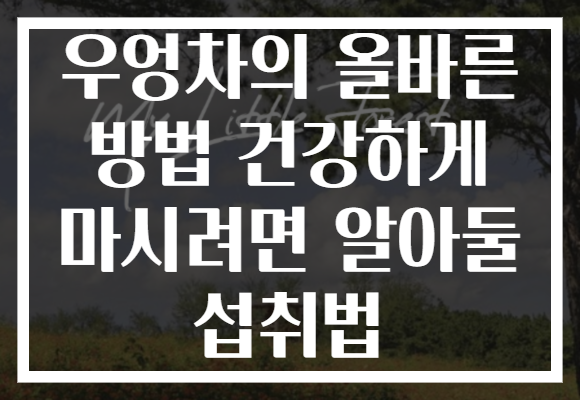 우엉차의 올바른 방법 건강하게 마시려면 알아둘 섭취법