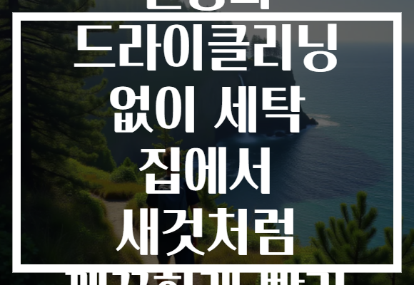 운동화 드라이클리닝 없이 세탁 집에서 새것처럼 깨끗하게 빨기