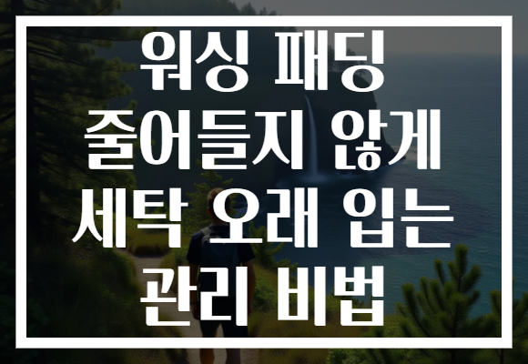 워싱 패딩 줄어들지 않게 세탁 오래 입는 관리 비법