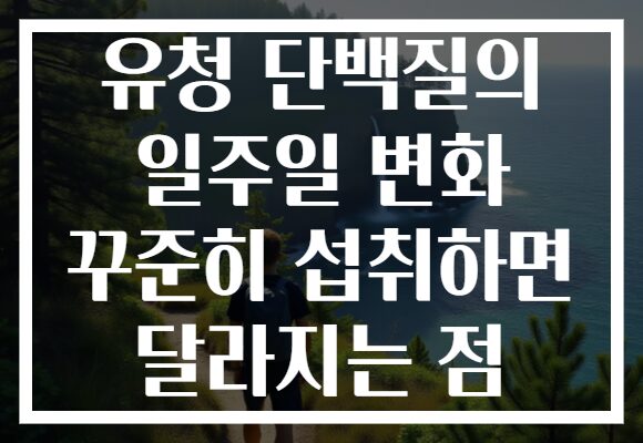유청 단백질의 일주일 변화 꾸준히 섭취하면 달라지는 점