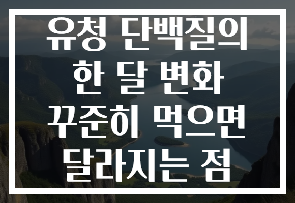 유청 단백질의 한 달 변화 꾸준히 먹으면 달라지는 점