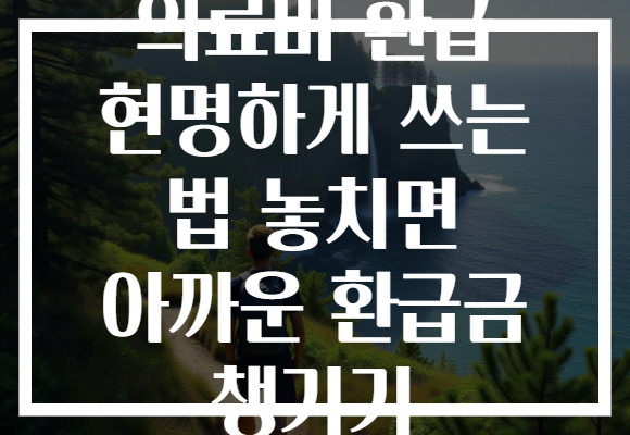 의료비 환급 현명하게 쓰는 법 놓치면 아까운 환급금 챙기기