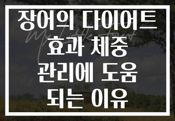 장어의 다이어트 효과 체중 관리에 도움 되는 이유
