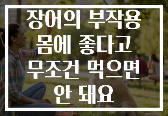 장어의 부작용 몸에 좋다고 무조건 먹으면 안 돼요