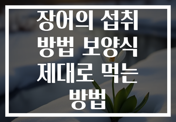 장어의 섭취 방법 보양식 제대로 먹는 방법