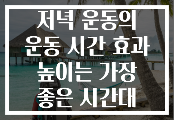 저녁 운동의 운동 시간 효과 높이는 가장 좋은 시간대
