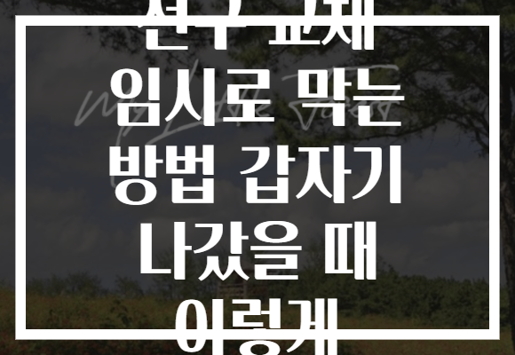 전구 교체 임시로 막는 방법 갑자기 나갔을 때 이렇게