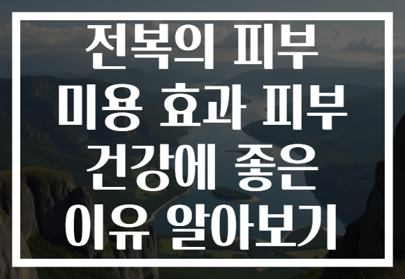 전복의 피부 미용 효과 피부 건강에 좋은 이유 알아보기