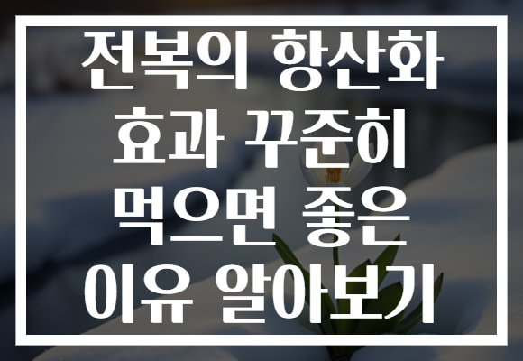 전복의 항산화 효과 꾸준히 먹으면 좋은 이유 알아보기