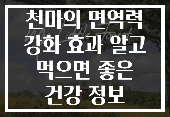 천마의 면역력 강화 효과 알고 먹으면 좋은 건강 정보