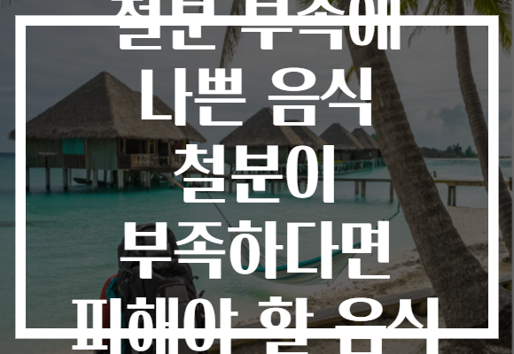 철분 부족에 나쁜 음식 철분이 부족하다면 피해야 할 음식