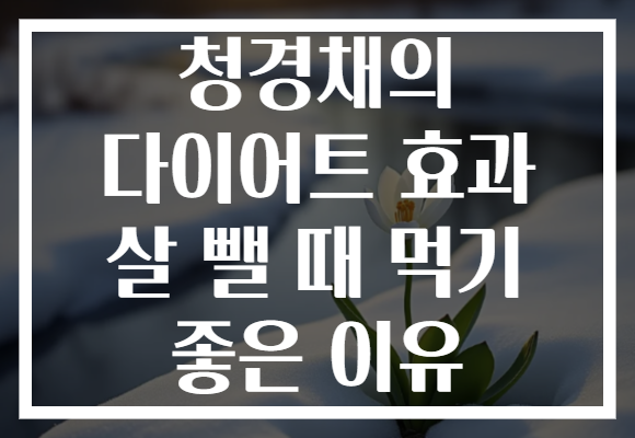 청경채의 다이어트 효과 살 뺄 때 먹기 좋은 이유