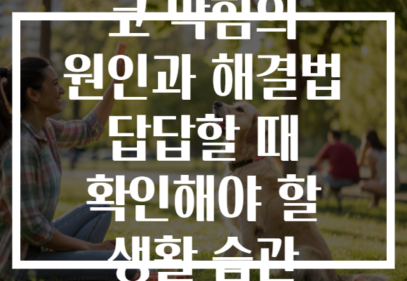 코 막힘의 원인과 해결법 답답할 때 확인해야 할 생활 습관