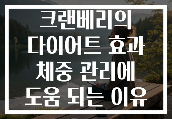 크랜베리의 다이어트 효과 체중 관리에 도움 되는 이유