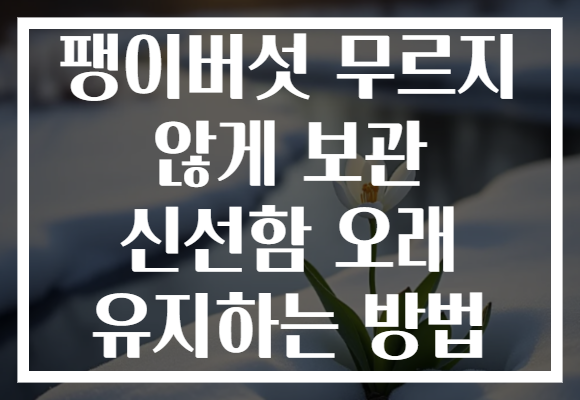 팽이버섯 무르지 않게 보관 신선함 오래 유지하는 방법