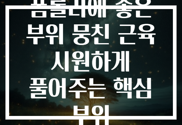 폼롤러에 좋은 부위 뭉친 근육 시원하게 풀어주는 핵심 부위