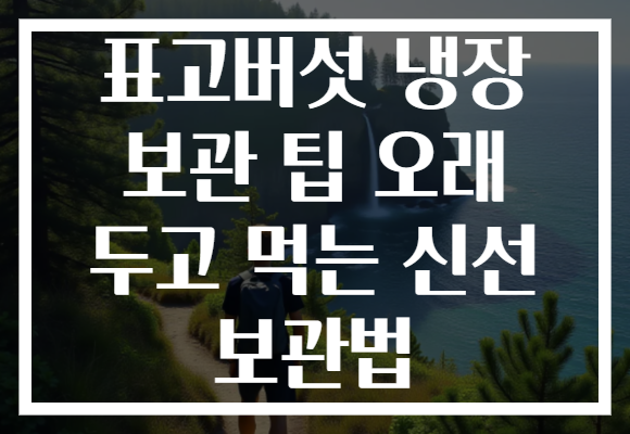 표고버섯 냉장 보관 팁 오래 두고 먹는 신선 보관법