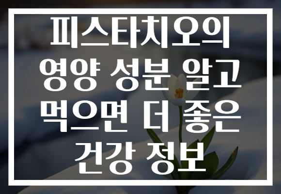 피스타치오의 영양 성분 알고 먹으면 더 좋은 건강 정보