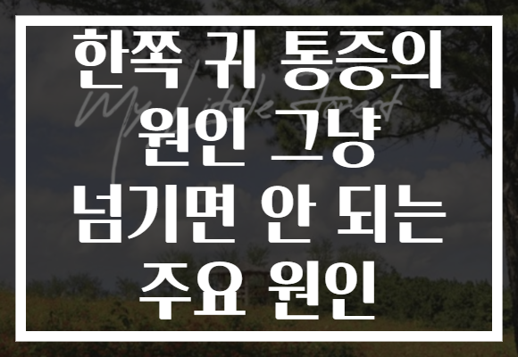 한쪽 귀 통증의 원인 그냥 넘기면 안 되는 주요 원인