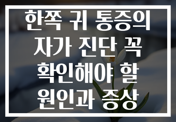 한쪽 귀 통증의 자가 진단 꼭 확인해야 할 원인과 증상