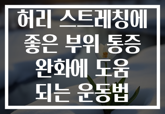허리 스트레칭에 좋은 부위 통증 완화에 도움 되는 운동법