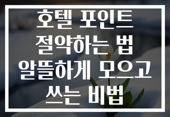 호텔 포인트 절약하는 법 알뜰하게 모으고 쓰는 비법