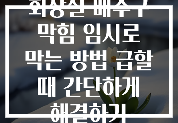 화장실 배수구 막힘 임시로 막는 방법 급할 때 간단하게 해결하기