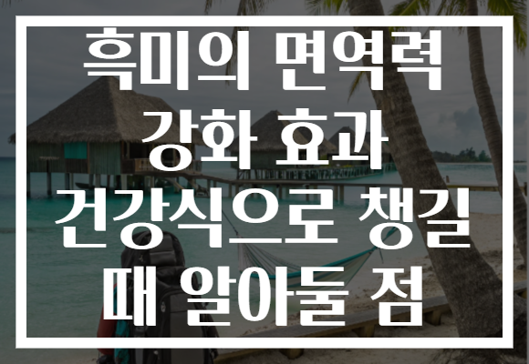흑미의 면역력 강화 효과 건강식으로 챙길 때 알아둘 점