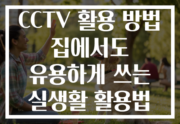 CCTV 활용 방법 집에서도 유용하게 쓰는 실생활 활용법