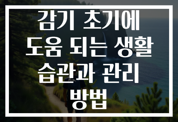 감기 초기에 도움 되는 생활 습관과 관리 방법