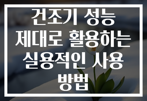 건조기 성능 제대로 활용하는 실용적인 사용 방법