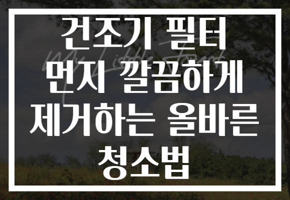 건조기 필터 먼지 깔끔하게 제거하는 올바른 청소법