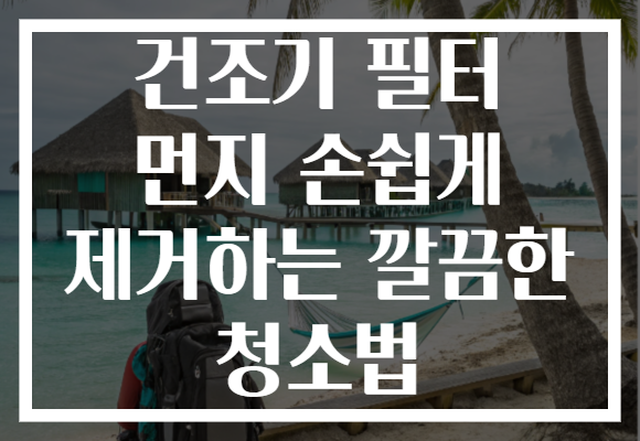 건조기 필터 먼지 손쉽게 제거하는 깔끔한 청소법