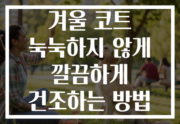 겨울 코트 눅눅하지 않게 깔끔하게 건조하는 방법