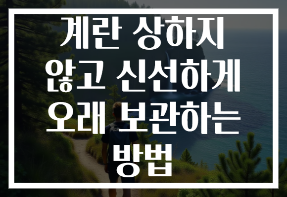 계란 상하지 않고 신선하게 오래 보관하는 방법