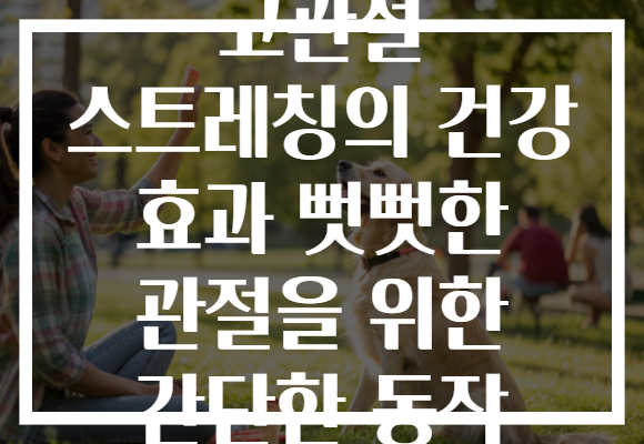 고관절 스트레칭의 건강 효과 뻣뻣한 관절을 위한 간단한 동작