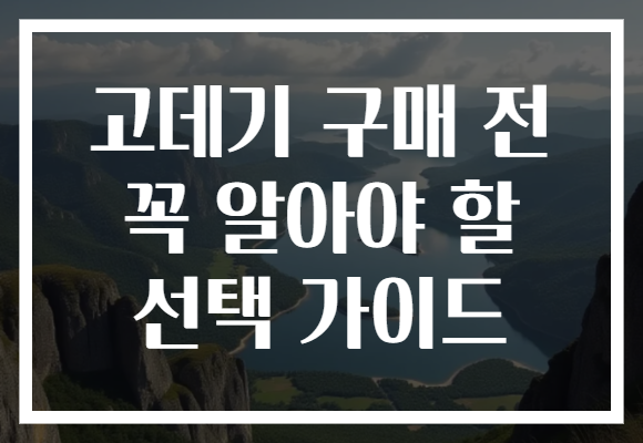 고데기 구매 전 꼭 알아야 할 선택 가이드