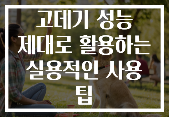 고데기 성능 제대로 활용하는 실용적인 사용 팁