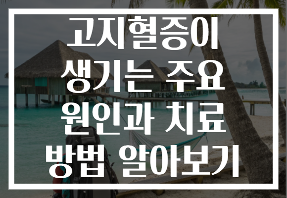 고지혈증이 생기는 주요 원인과 치료 방법 알아보기