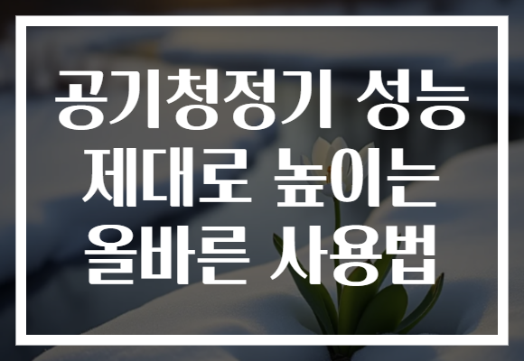 공기청정기 성능 제대로 높이는 올바른 사용법