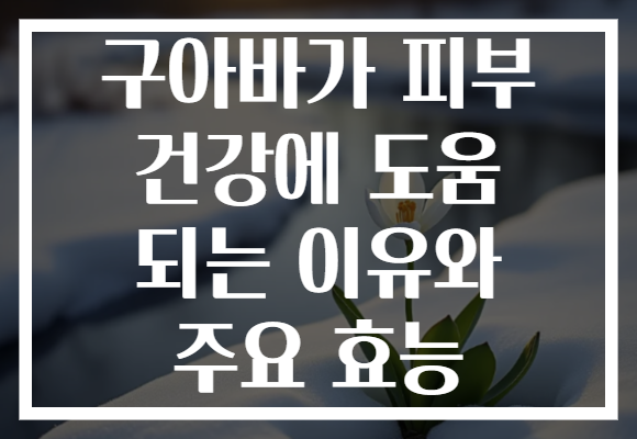 구아바가 피부 건강에 도움 되는 이유와 주요 효능