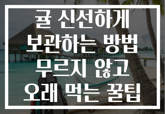 귤 신선하게 보관하는 방법 무르지 않고 오래 먹는 꿀팁