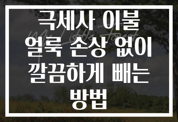 극세사 이불 얼룩 손상 없이 깔끔하게 빼는 방법