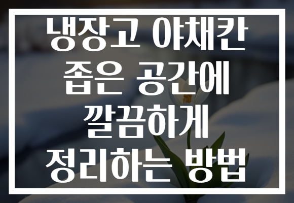 냉장고 야채칸 좁은 공간에 깔끔하게 정리하는 방법