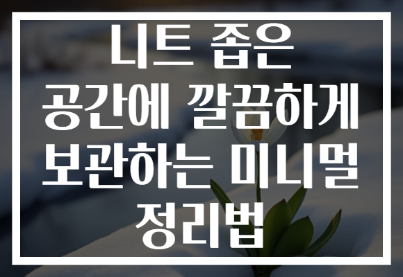 니트 좁은 공간에 깔끔하게 보관하는 미니멀 정리법