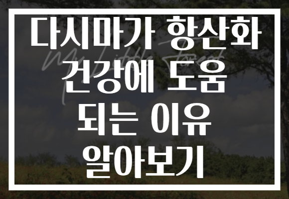 다시마가 항산화 건강에 도움 되는 이유 알아보기