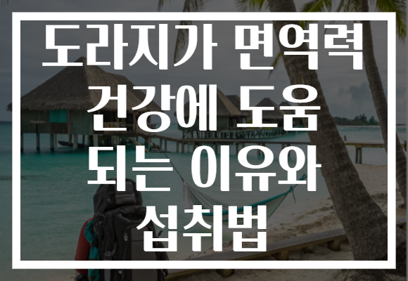 도라지가 면역력 건강에 도움 되는 이유와 섭취법