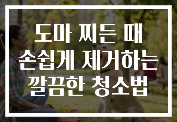 도마 찌든 때 손쉽게 제거하는 깔끔한 청소법