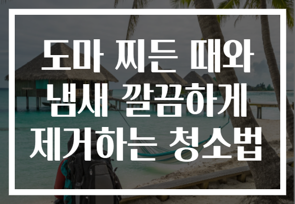 도마 찌든 때와 냄새 깔끔하게 제거하는 청소법