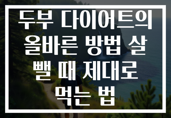 두부 다이어트의 올바른 방법 살 뺄 때 제대로 먹는 법